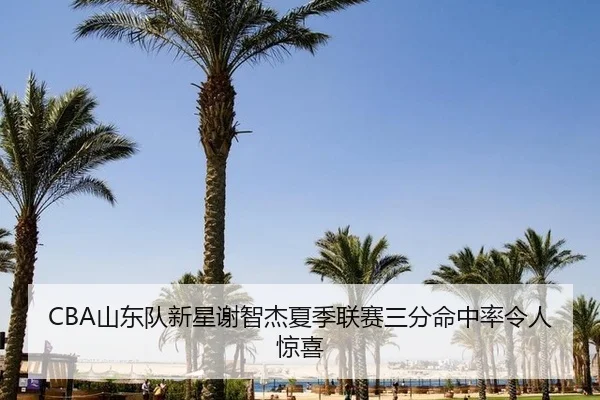 CBA山东队新星谢智杰夏季联赛三分命中率令人惊喜