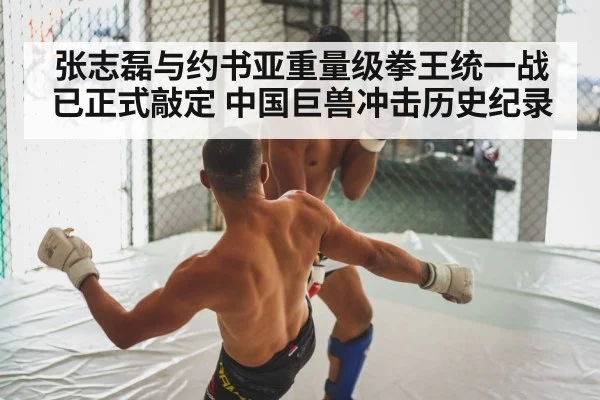 张志磊与约书亚重量级拳王统一战已正式敲定 中国巨兽冲击历史纪录