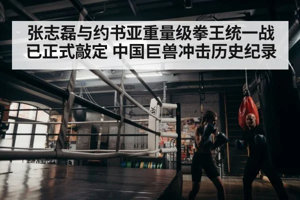 boxer training